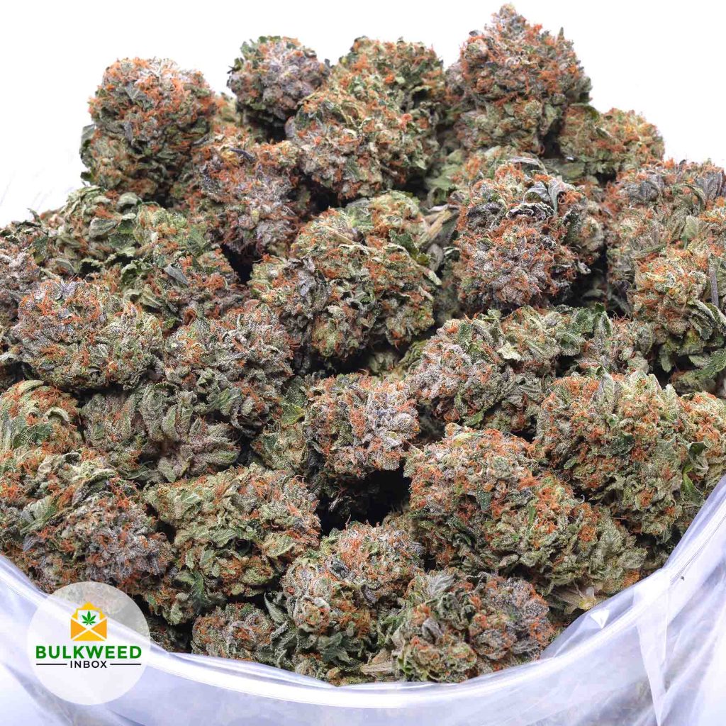 Ubc Chemo Strain Online Dispensary Canada Bulkweedinbox