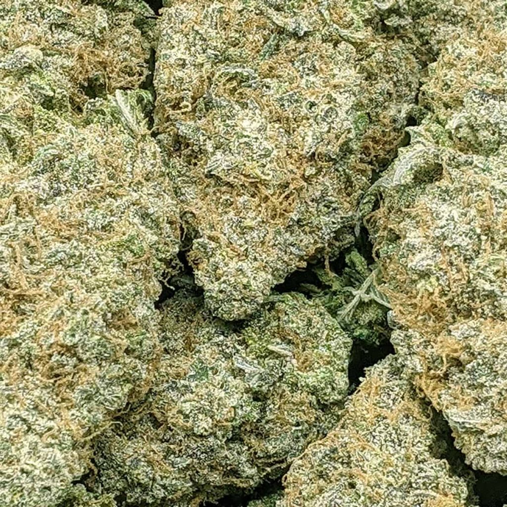 Blue Diesel