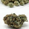 Juicy Fruit $99 Oz Canada