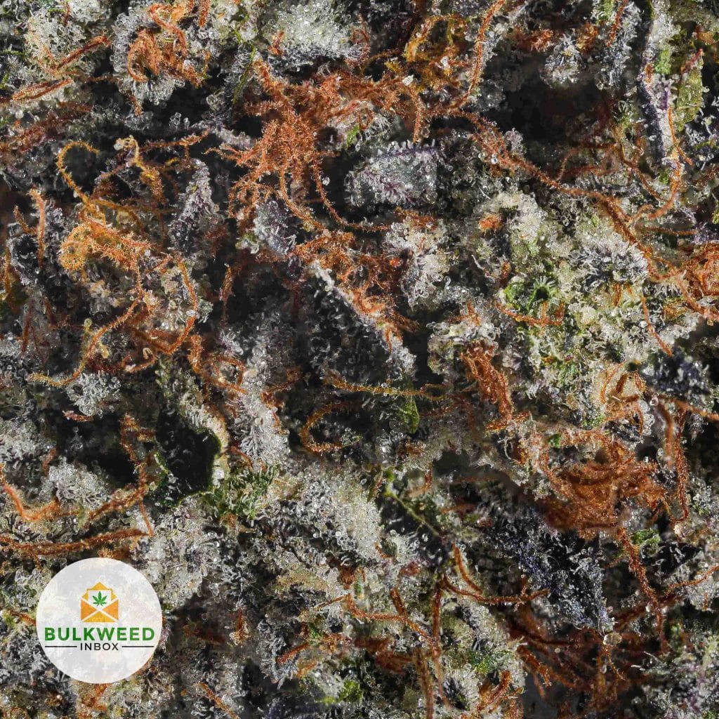 PERMANENT-MARKER-TYSON-FARMS2