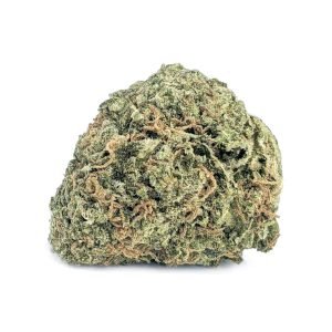 Cat Piss Budget Buds strain cheap weed canada