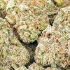 cereal milk budget buds strain buy cheap weed canada
