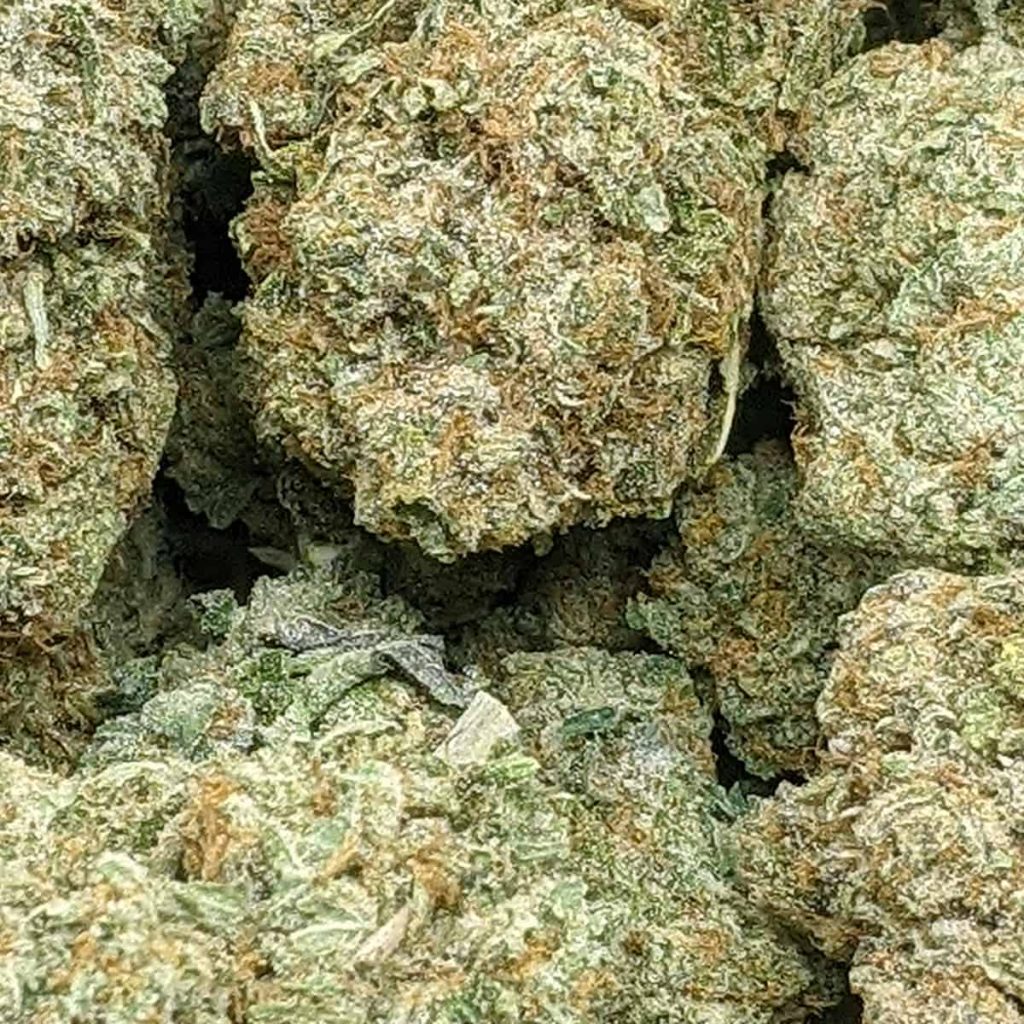 Acapulco Gold Buy Weed Online Online Dispensary