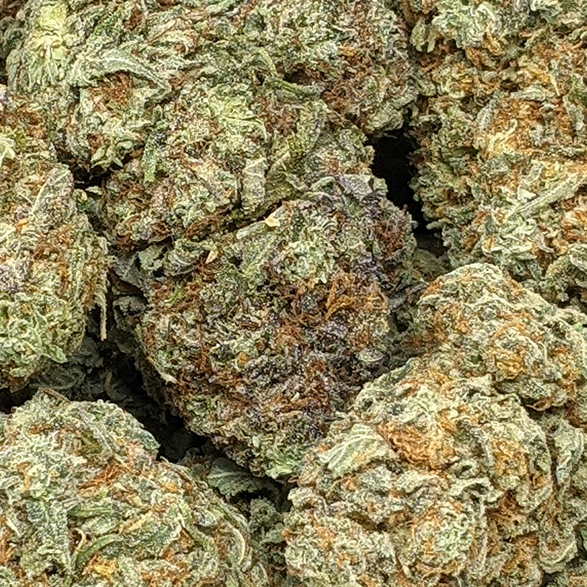 Gorilla Berry | Buy Weed Online | Online Dispensary