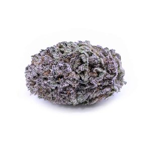 purple-chemo-1