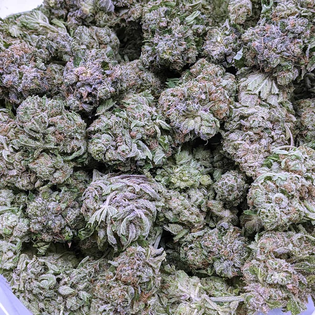 Purple Panty Dropper Buy Weed Online Online Dispensary