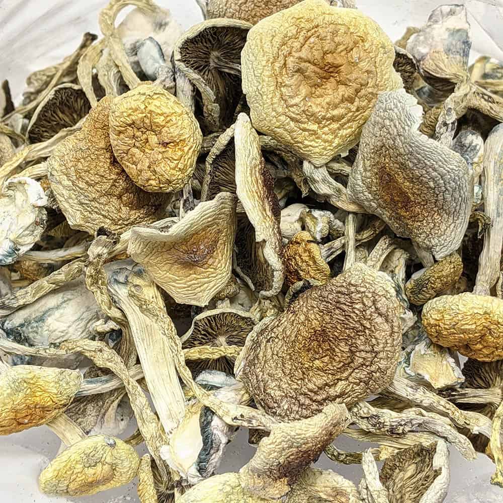 Flying Saucer Magic Mushrooms Buy Weed Online Online Dispensary