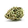 budget-buds-original-glue-1-2