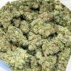 budget-buds-original-glue-1-2