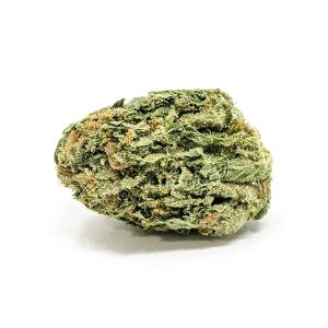 budget-buds-pacific-blue-1