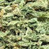 budget-buds-pacific-blue-1