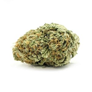 budget-buds-bc-big-bud-1