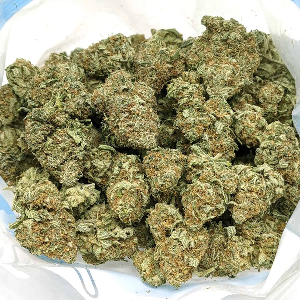 budget-buds-bc-big-bud-1