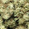 budget-buds-golden-pineapple-1