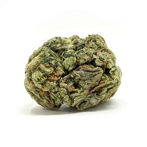 budget-buds-johnny-blaze-1