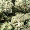 budget-buds-johnny-blaze-1