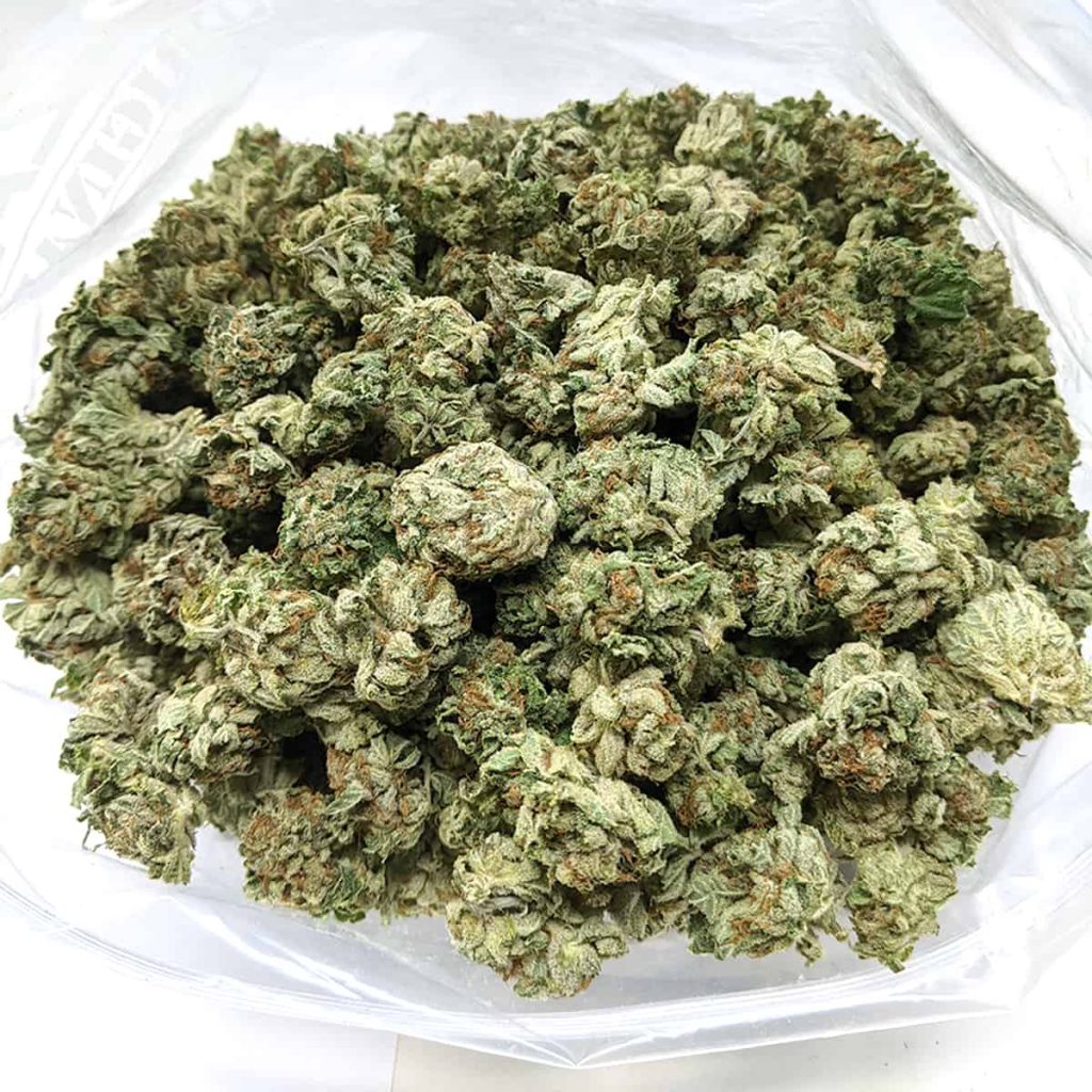 budget-buds-red-diesel-1