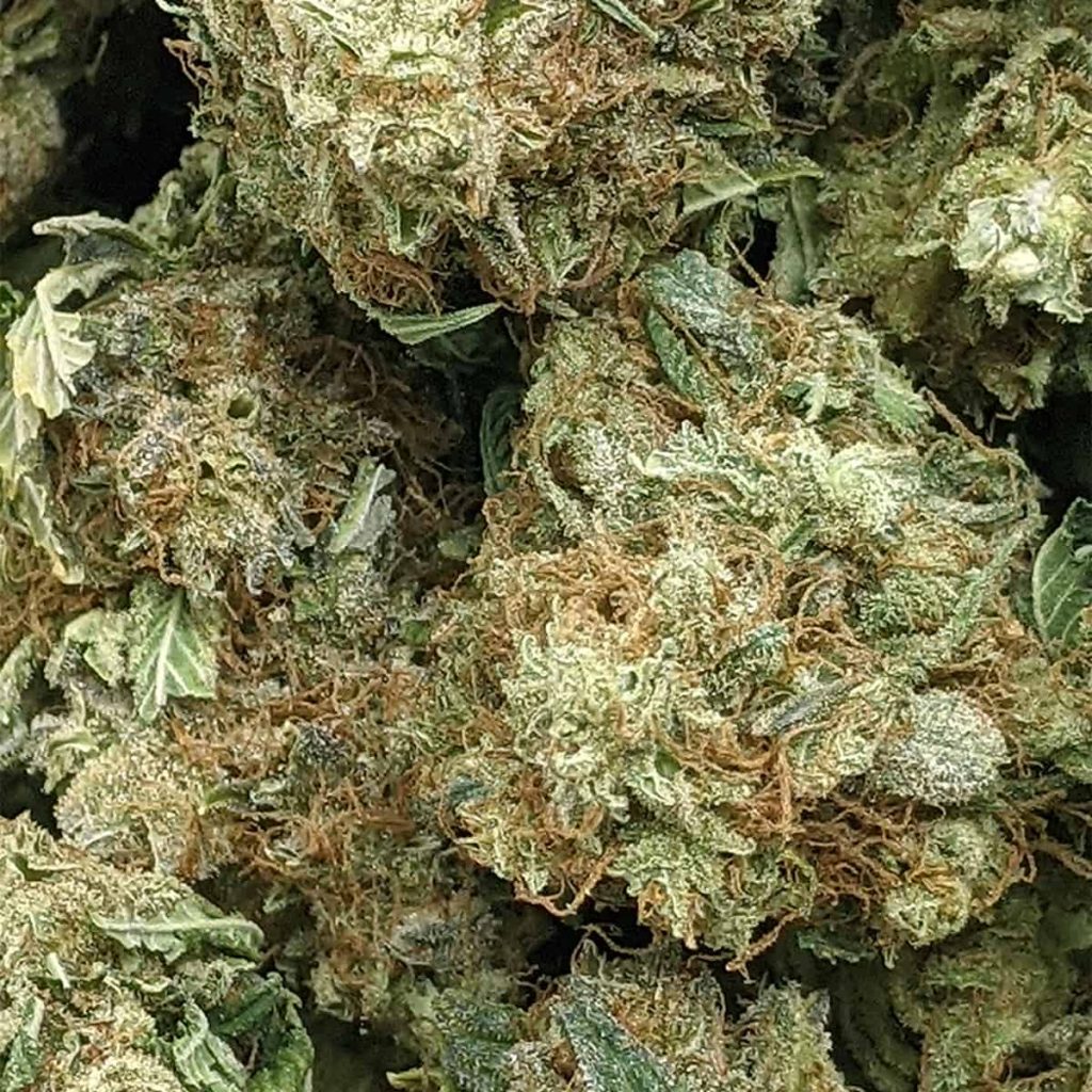 budget-buds-sweet-diesel-1-3