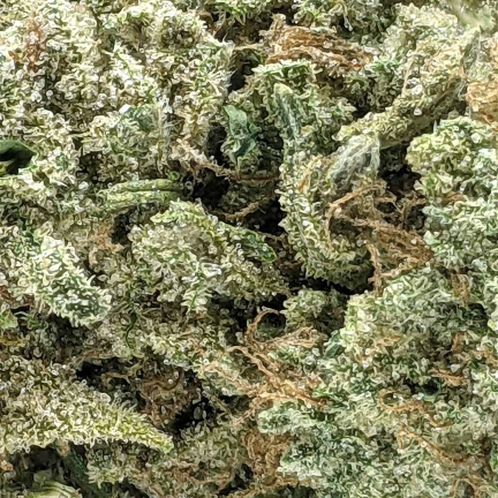 budget-buds-white-lightning-1