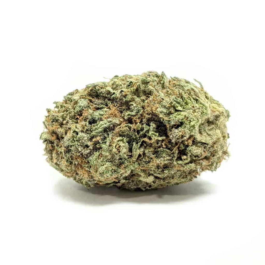 westcoast diesel 1