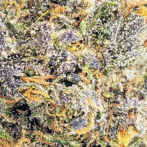 GODZILLA - TYSON FARMS CRAFT cheap weed canada