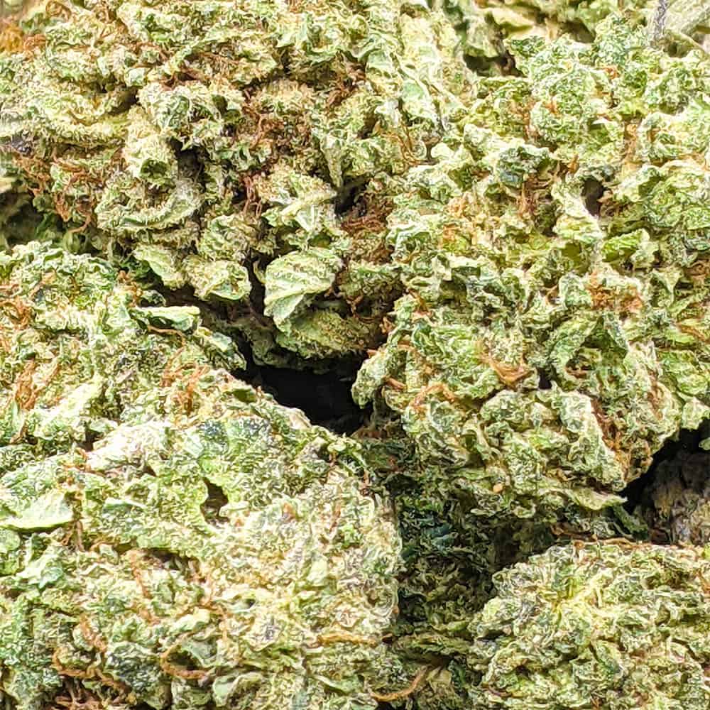 Pink Gas | Buy Weed Online | Online Dispensary