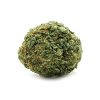 budget-buds-congo-aaa-1