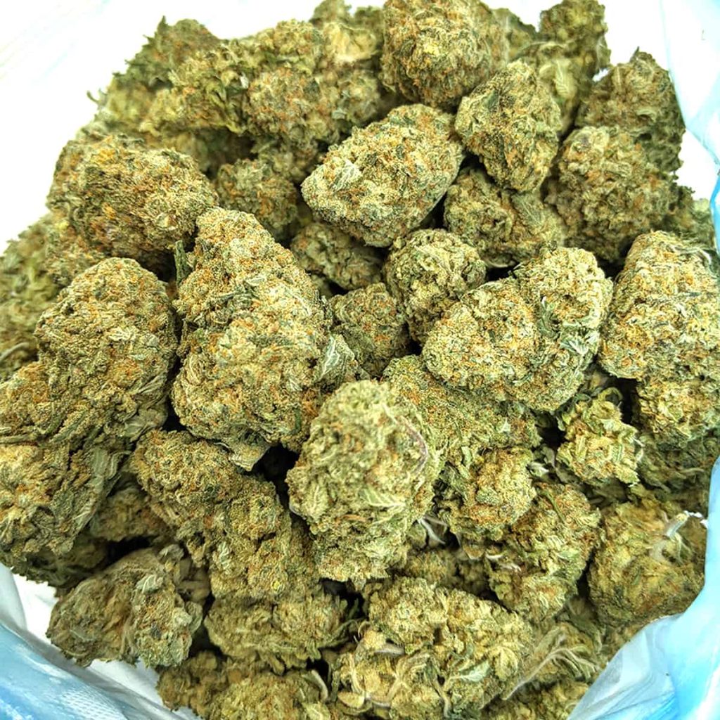 budget-buds-crunch-berry-aaa-1