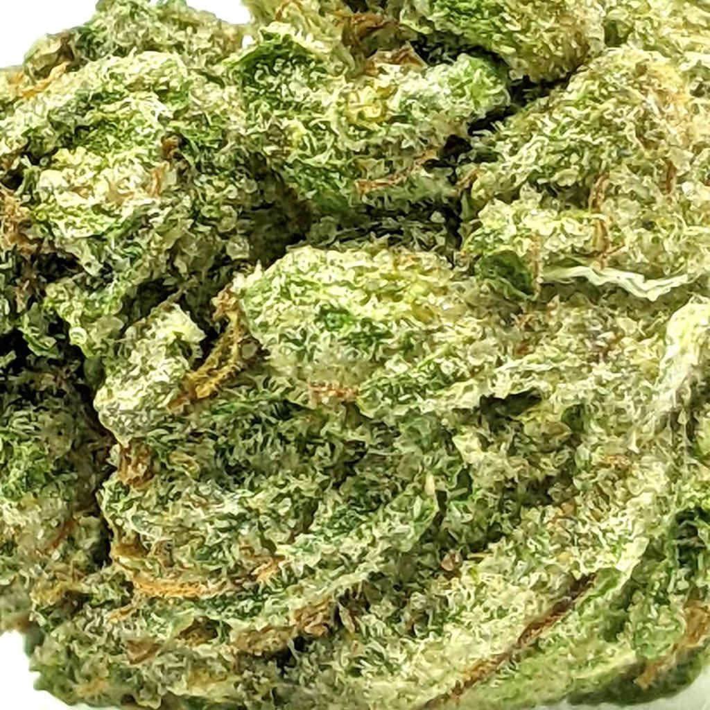 budget-buds-trainwreck-2