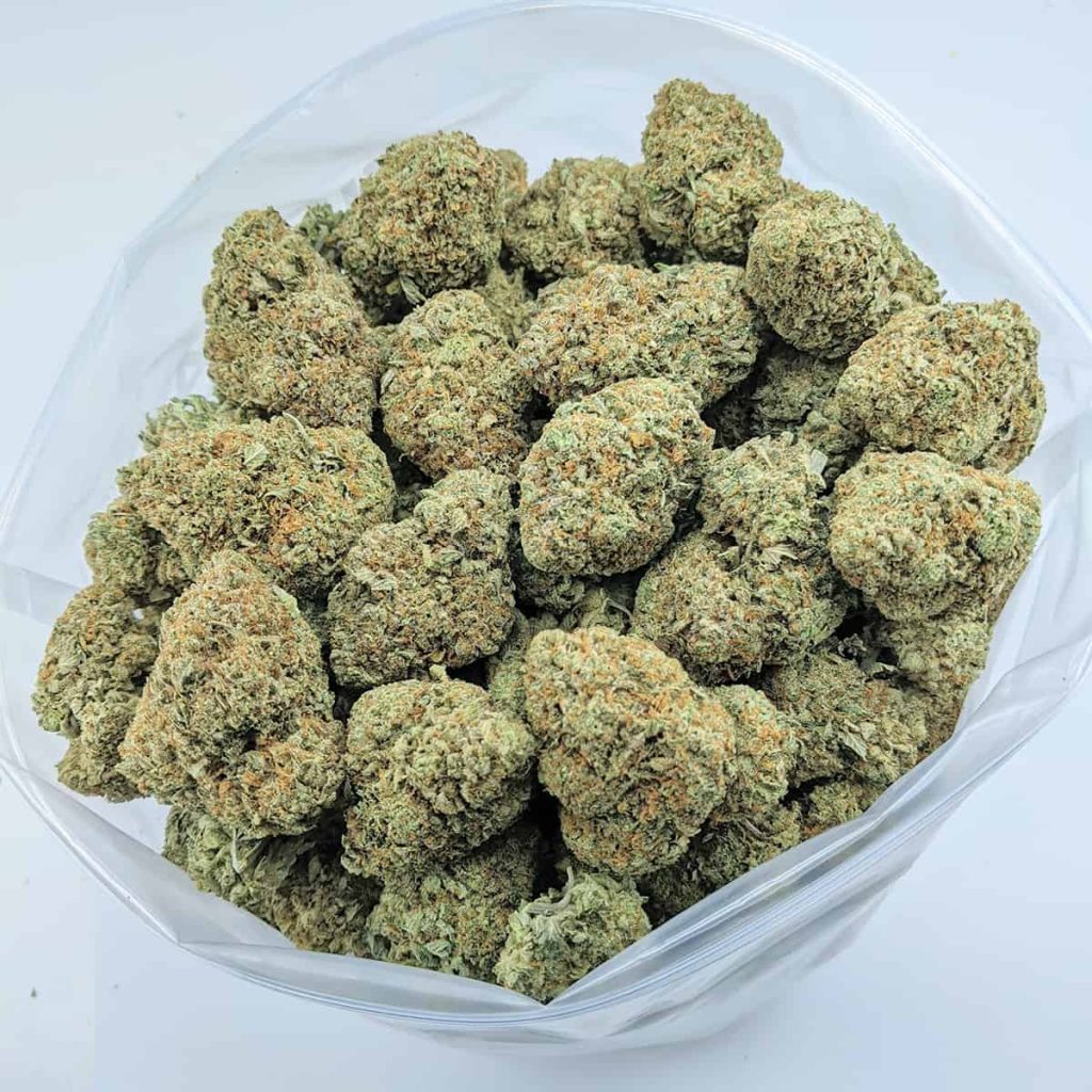 budget bud grizzly kush aaaa 1-1