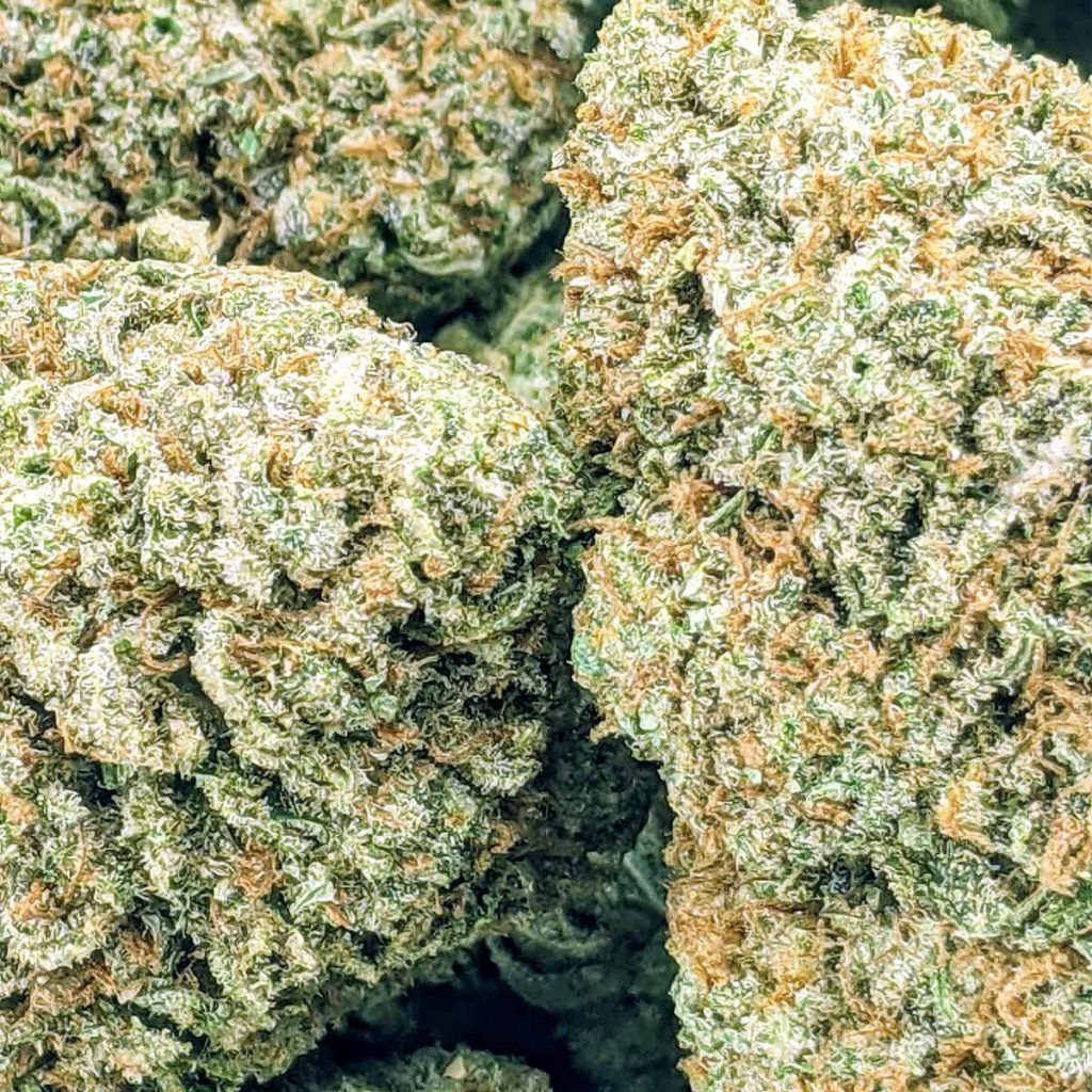 budget bud grizzly kush aaaa 1-1