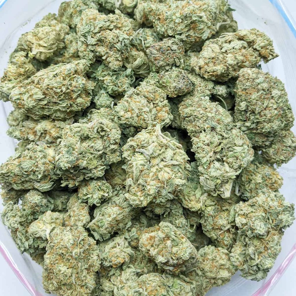 budget bud sour tangie 1-1