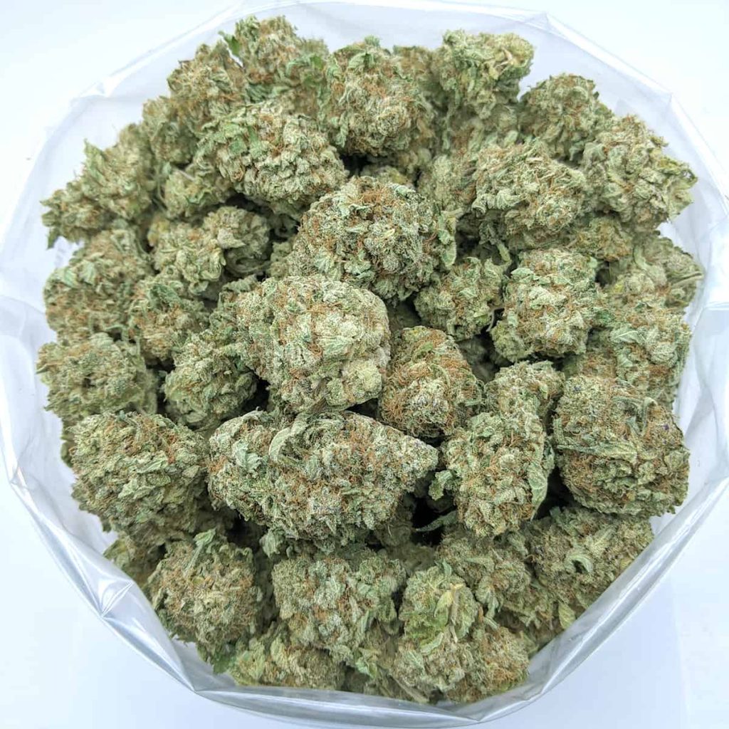 budget bud pepermint cookies aaa 1