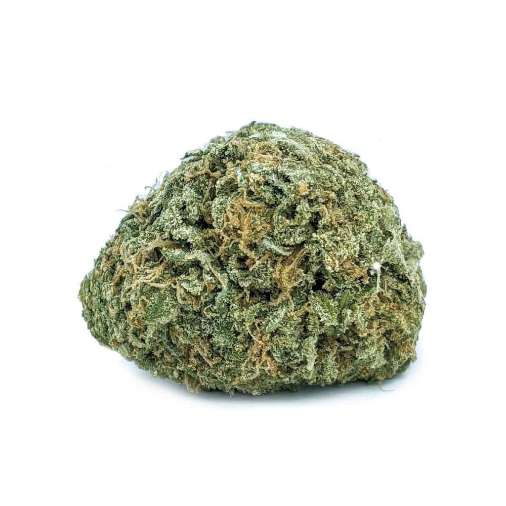 budget bud black cherry soda 1