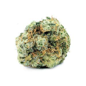 budget bud white gold 1