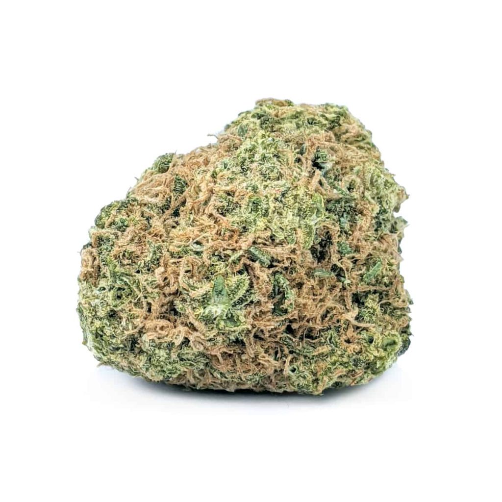 Budget Buds - Godzilla Glue | Buy Weed Online | Online Dispensary