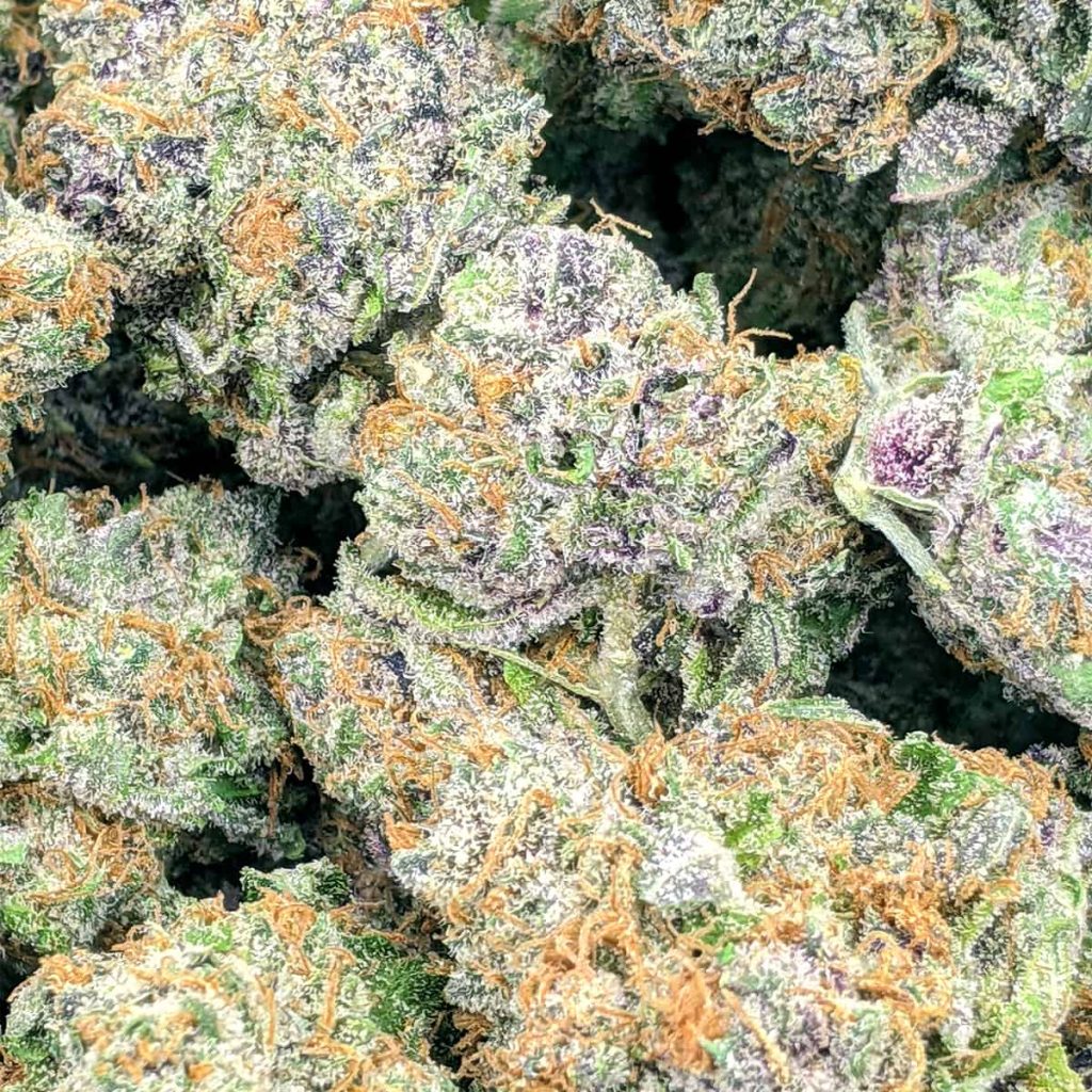 island boys craft mendocino purps aaaa 1