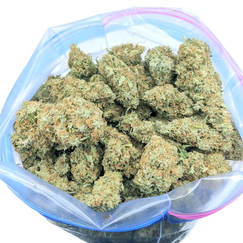 budget bud pink candy 1