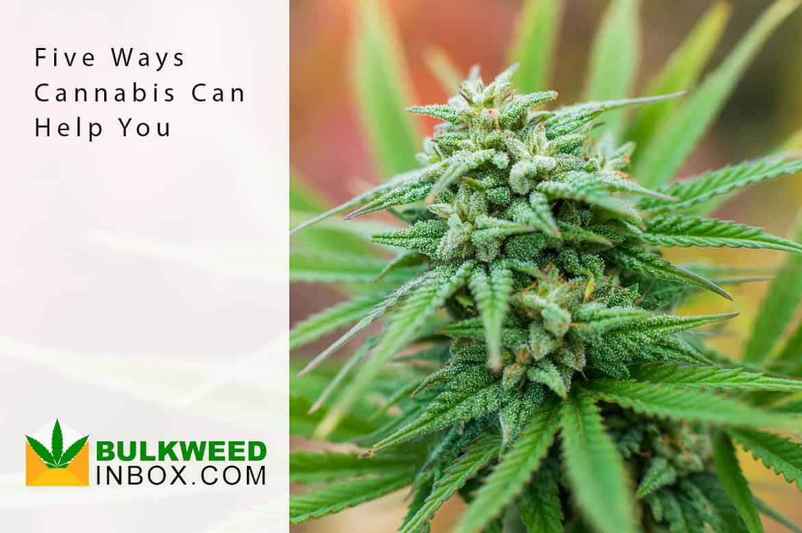 ways cannabis can help