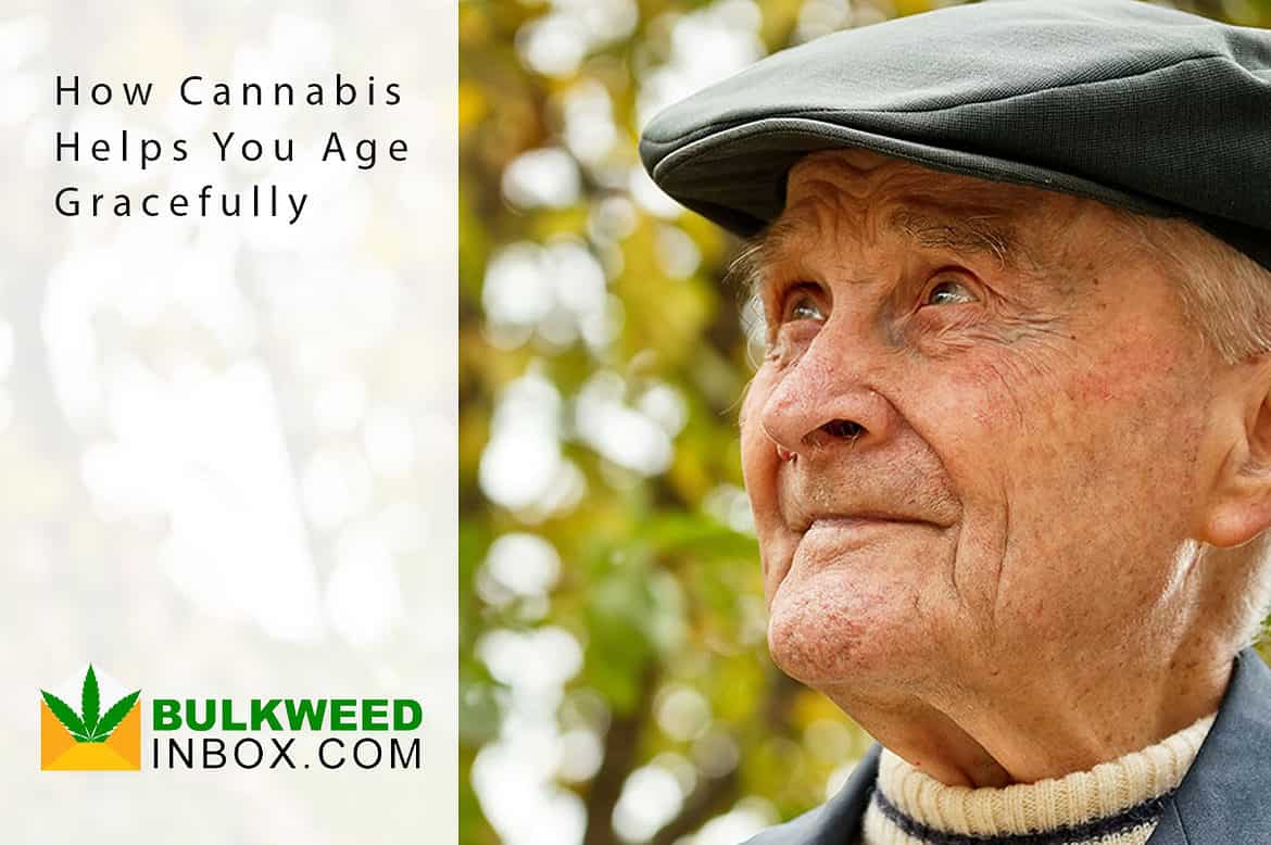 aging with cannabis