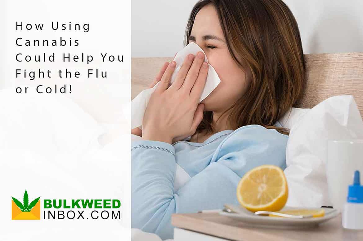 cannabis and the cold and flu