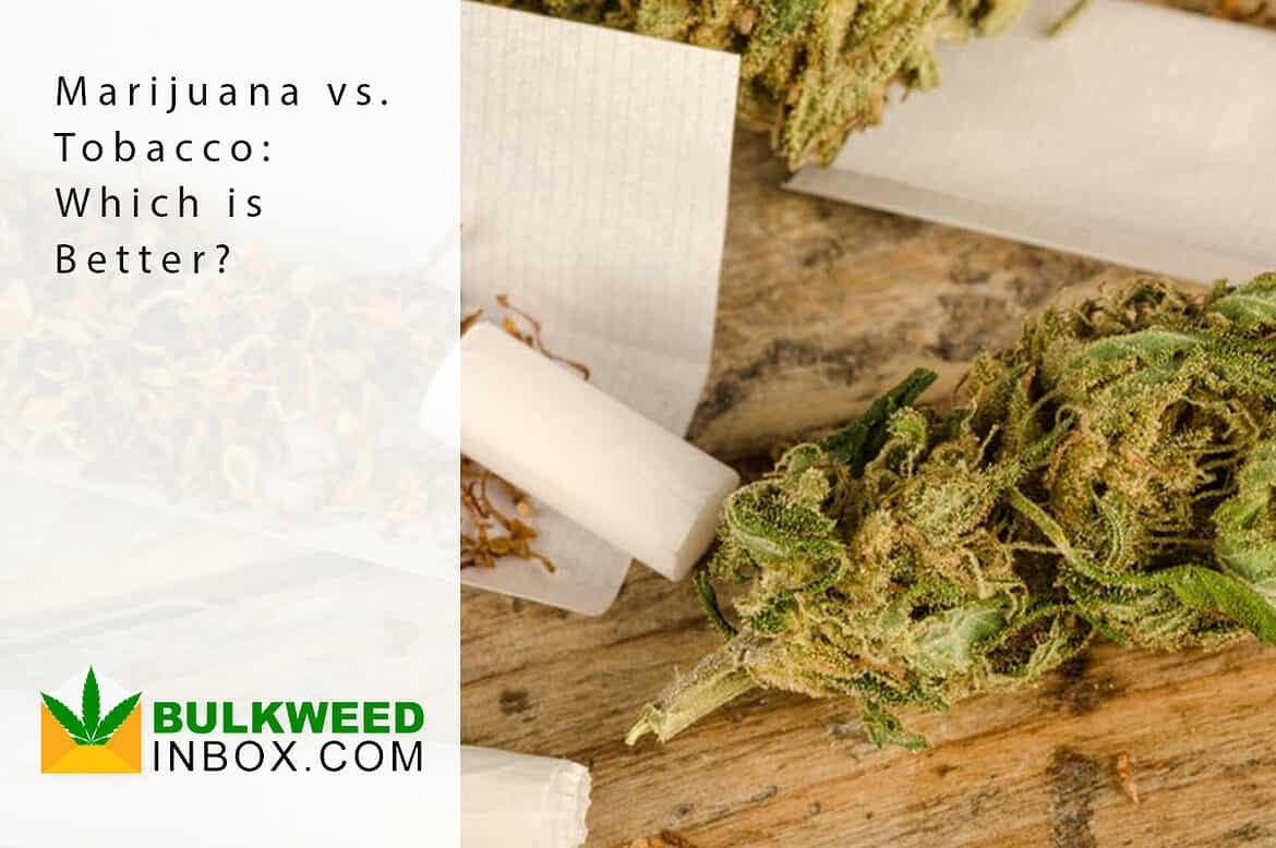 marijuana or tobacco