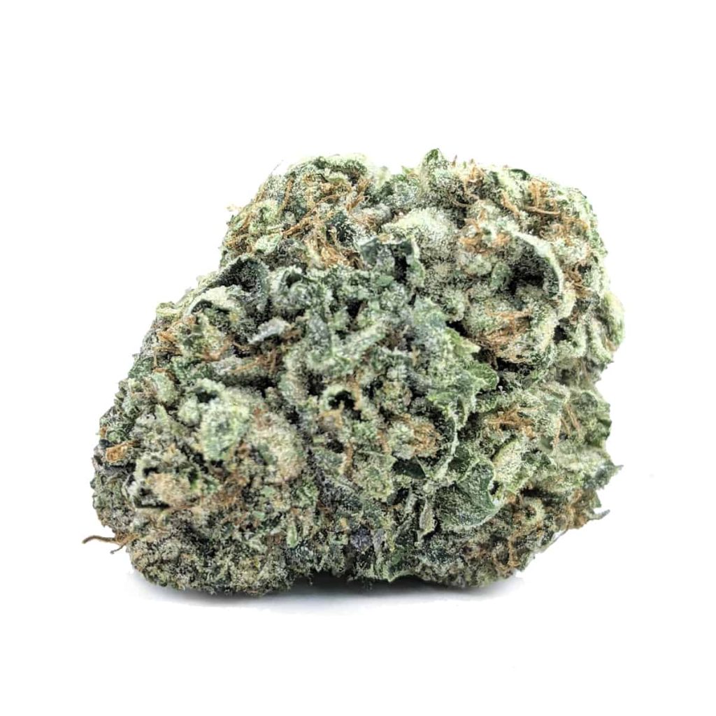 BLACK DAHLIA cheap weed canada