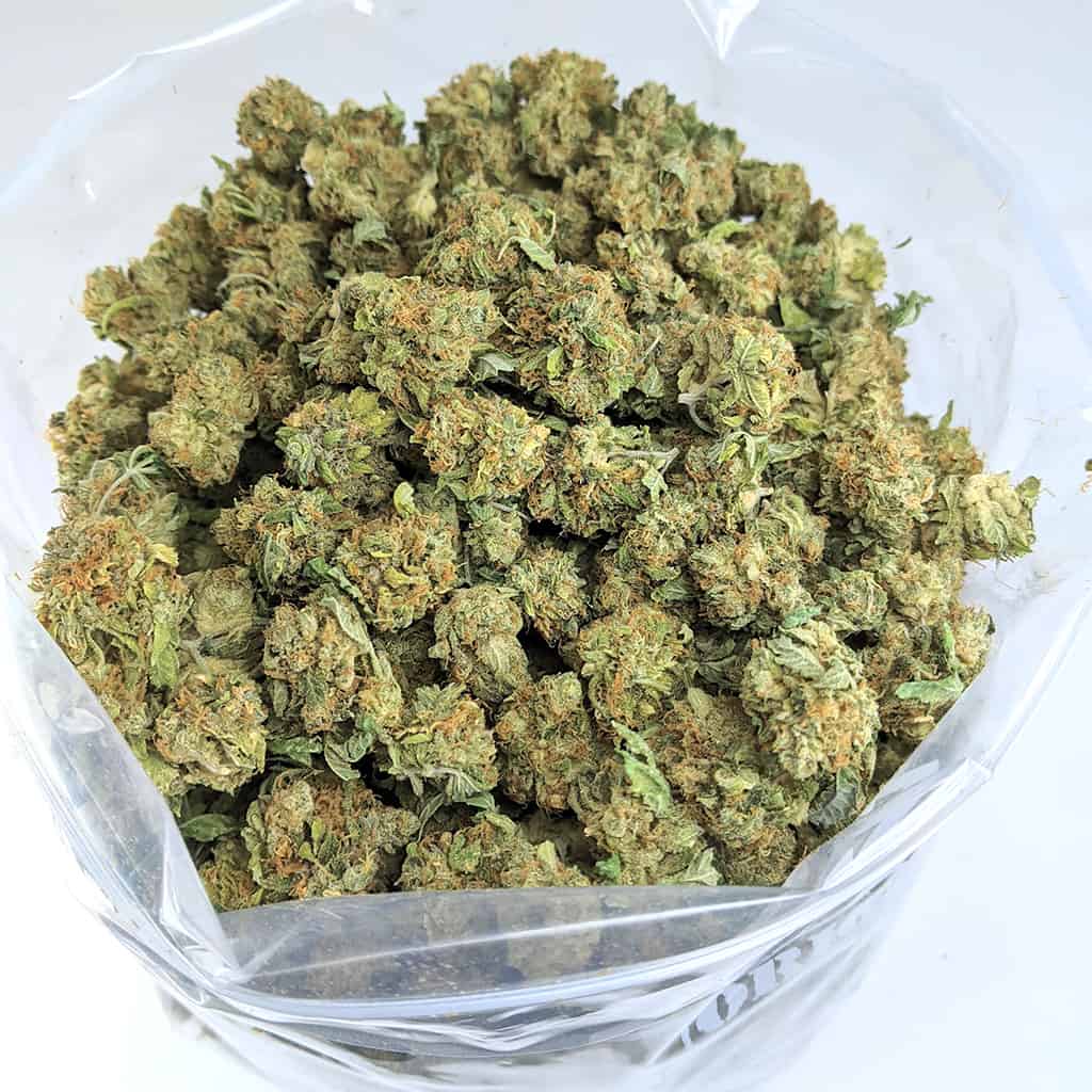 green poison budget bud cheap weed canada
