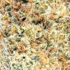 STRAWBERRY ROCKSTAR AAA strain cheap weed canada
