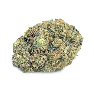 BLUEBERRY SUPREME strain cheap weed canada buy weed online