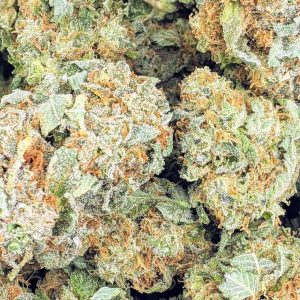 jack herer budget buds cheap weed canada