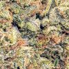 maple leaf budget buds strain cheap weed canada day