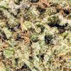 obama kush aaa budget bud strain buy online weeds