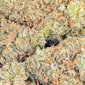 BLACKBERRY cheap weed canada